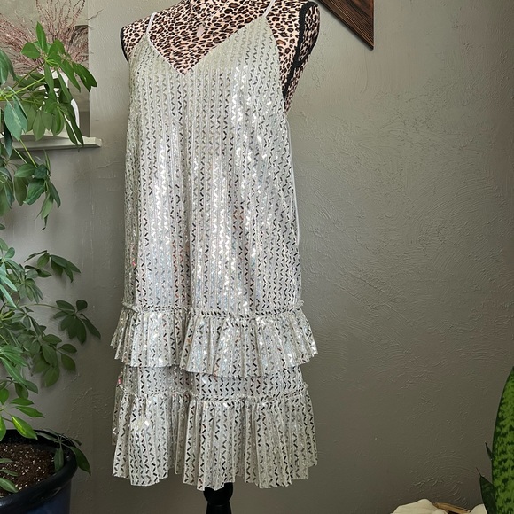 Shimmy Shimmy Slip Dress (Silver) - Small - Picture 11 of 13